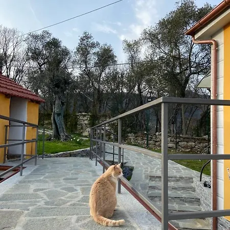 Sunrise Holiday home Camogli